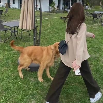 小小巨人
